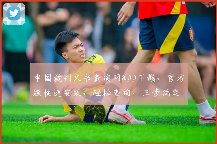 中国裁判文书查询网app下载，官方版快速安装，轻松查询，三步搞定，权威可靠，不容错过，