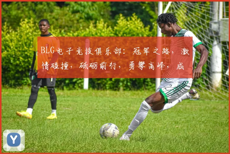 BLG电子竞技俱乐部：冠军之路，激情碰撞，砥砺前行，勇攀高峰，成就荣耀
